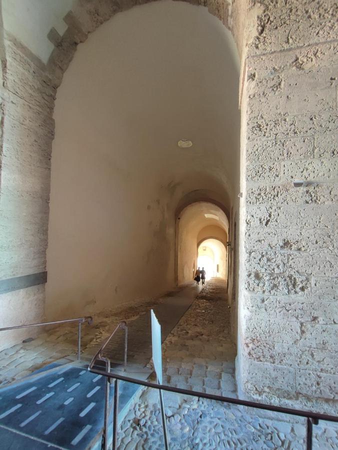 Ferienwohnung Petit Cocon A Mourepiane Marseilles Exterior foto